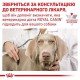 Royal Canin Gastrointestinal Canine для собак 2 кг