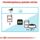 Royal Canin Urinary Care Gravy для котів шматочки в соусі 12x85 г