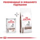 Royal Canin Gastrointestinal Low Fat Cans для собак при порушенні травлення 12х410 г