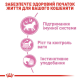 Royal Canin Kitten Sterilised у соусі для стерилізованих кошенят 12х85 г