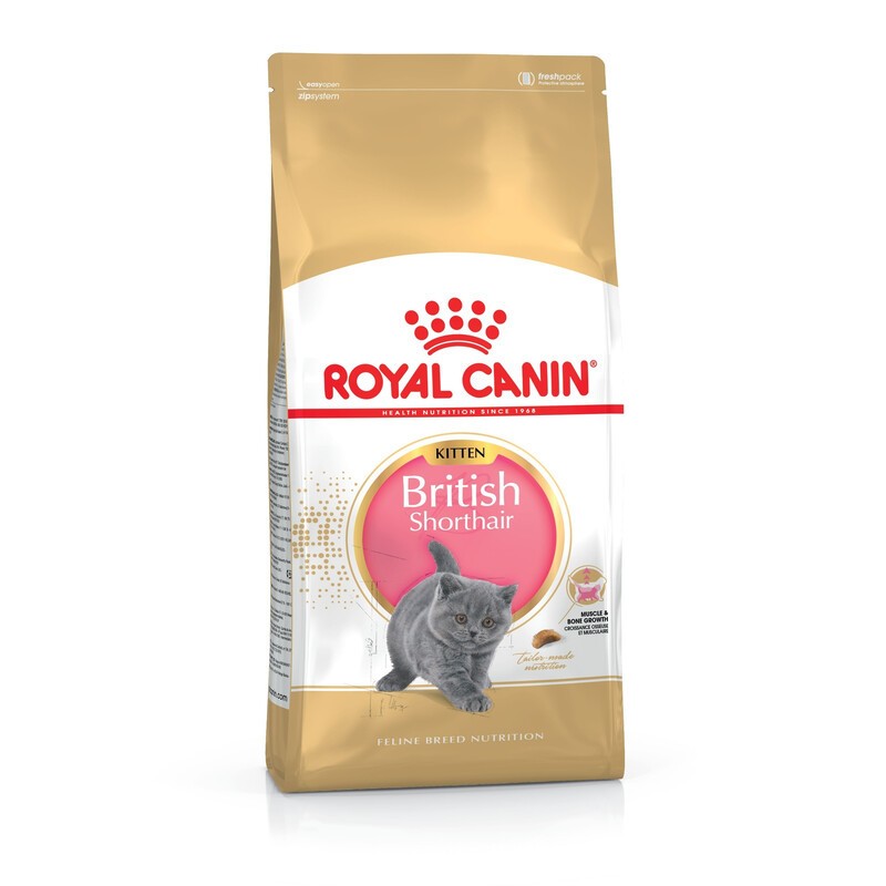 Royal Canin British Shorthair Kitten 10 кг сухий корм для кошенят