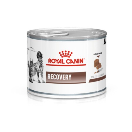Royal Canin Recovery 12х195 г вологий корм для собак та кішок у відновлювальний період після хвороби