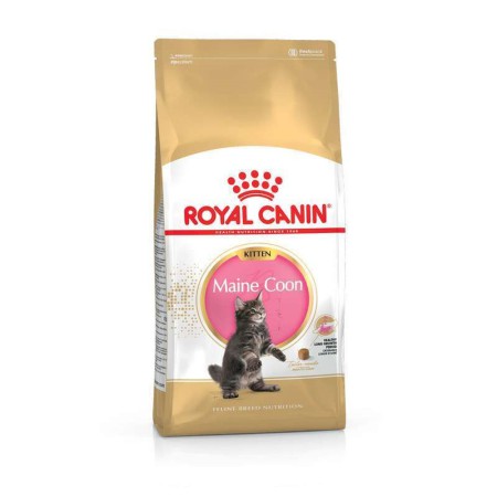 Royal Canin Maine Coon Kitten 4 кг сухий корм для кошенят породи мейн-кун