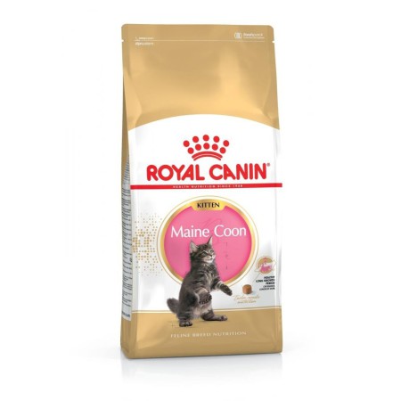 Royal Canin Maine Coon Kitten 2 кг сухий корм для кошенят породи мейн-кун