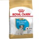 Royal Canin Jack Russell Terrier Puppy 1.5 кг сухий корм для цуценят