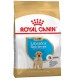 Royal Canin Labrador Retriever Puppy 12 кг сухий корм для цуценят