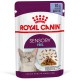 Royal Canin Sensory Feel in Jelly 12х85 г в желе для кошек 