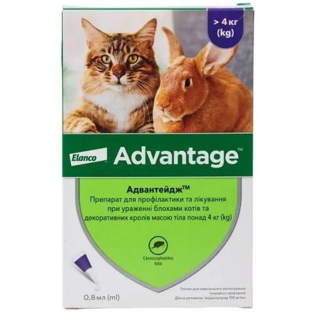 Краплі Elanco (Bayer) Advantage від бліх для кішок та кроликів від 4 до 8 кг 0.8 мл 1 піпетка