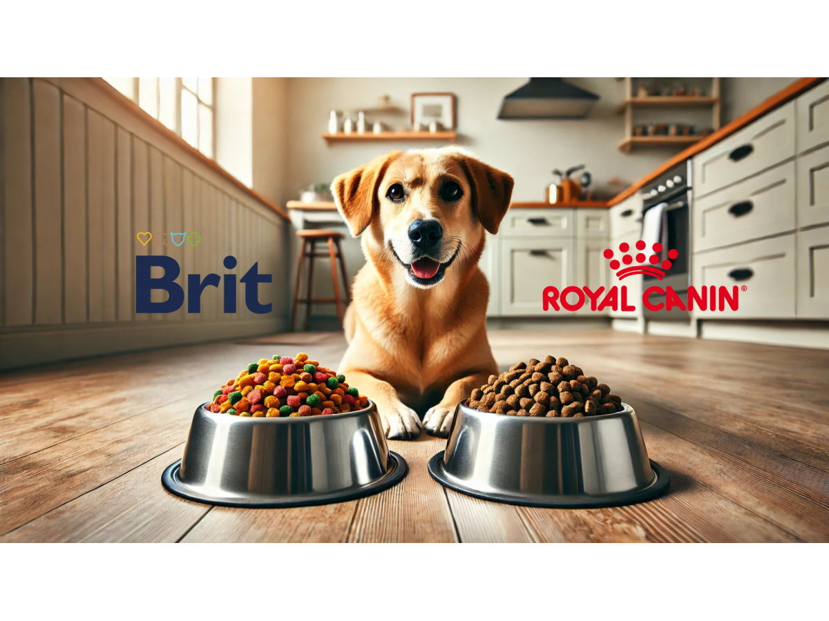 Який корм для собак краще: Brit чи Royal Canin