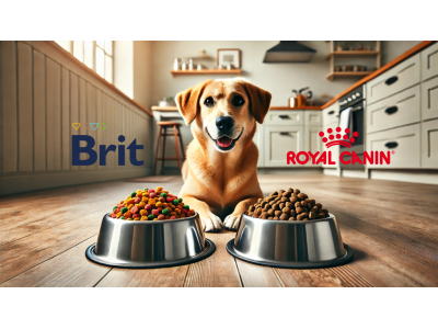 Який корм для собак краще: Brit чи Royal Canin