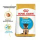Royal Canin German Shepherd Puppy для цуценят 3 кг