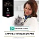 Purina Veterinary Diets EN Gastrointestinal Feline в підливці з лососем для котів 10х80 г