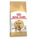Royal Canin Bengal для котів 4 кг