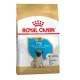Royal Canin Pug Puppy для цуценят 1.5 кг